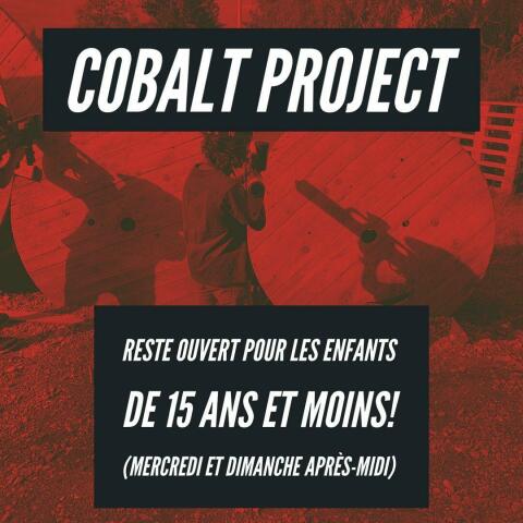 Profitez de liker notre nouvelle page Instagram @sonsofcobalt !